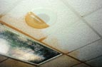 Ceiling Cleaning Half and Half