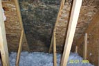 Mold Remediation before