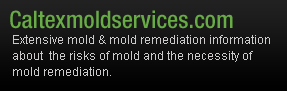 Caltex Mold Services