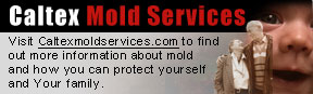 Caltex Mold Services